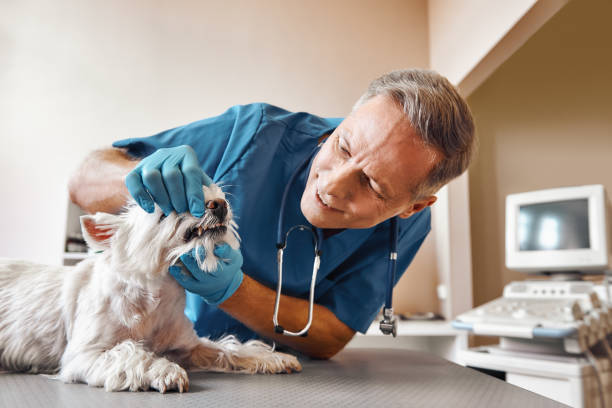 Best Emergency Tooth Extraction in Garden View, PA